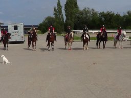 DSC00080_web